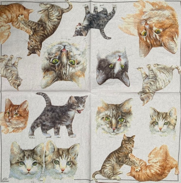 Serviette Katzen, Rarität